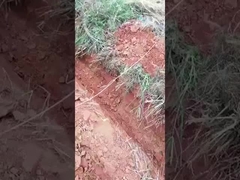 0.6 Ton 0,8 Ton Mini Crawler Excavator Micro Digger nhỏ