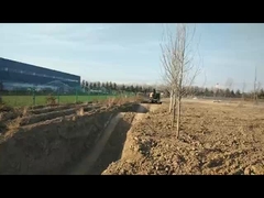 Máy đào 6 tấn 6,5 tấn 8 tấn