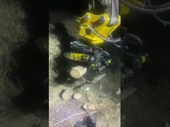 Hug gỗ nắm bắt